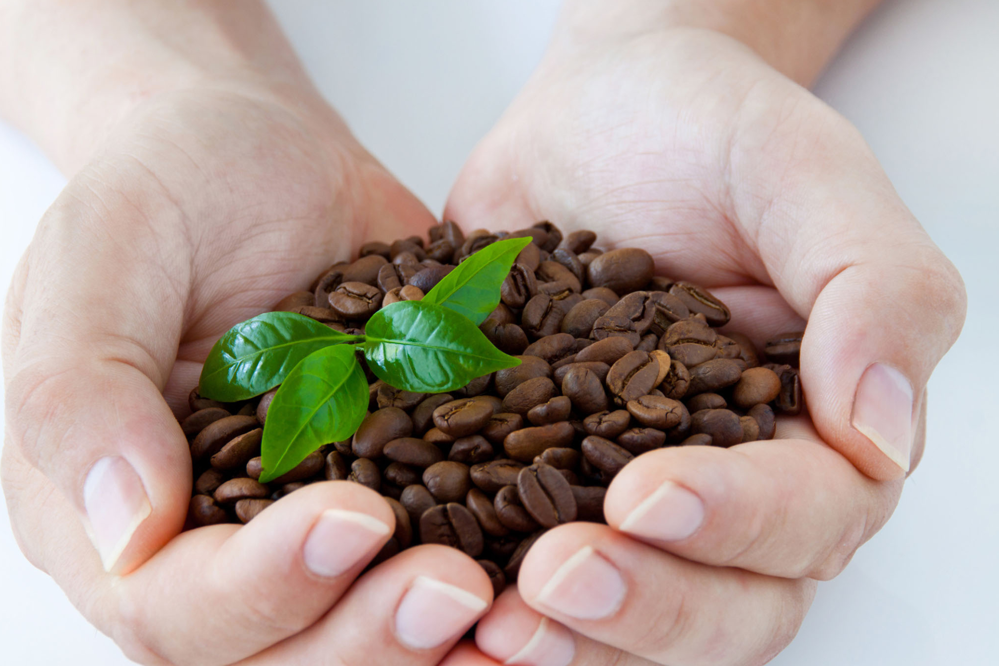 Ökologische Nachhaltigkeit bei Deiner neuen Kaffeemaschine im Unternehmen